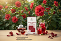 Hibiscus Blend Landscape