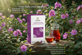 Heenbovitiya Herbal Drink landscape product shot